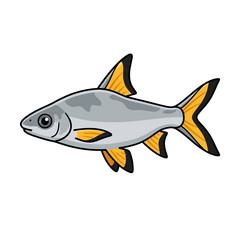 Fototapeta premium Gray fish with yellow fins and tail, isolated on white background