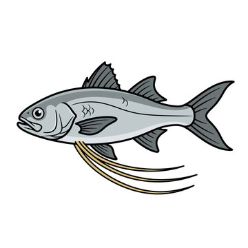Illustration of a bluefish with long barbels