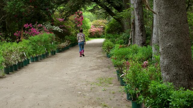 Woman walking in an outdoor plant nursery 