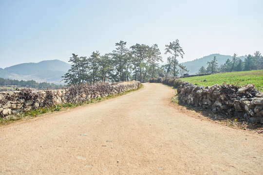 A serene series captures a rustic dirt path lined with traditional stone walls in Cheongsando Island, South Korea. Images of the masonry and pine trees illustrate rural tranquility and slow living.