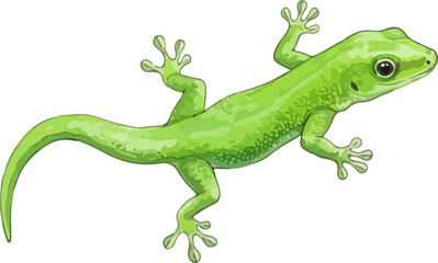Fototapeta premium Gecko Lizard Water Color
