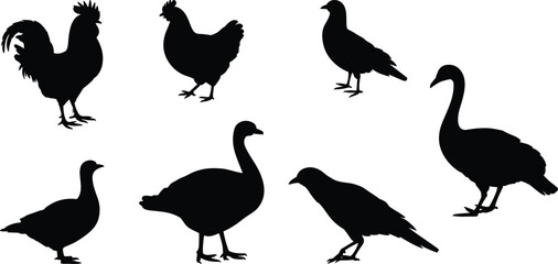 Collection of black bird silhouettes including rooster hen goose duck pigeon and crow isolated on white background for design © SreeRupali