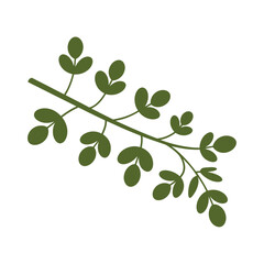 Obraz premium Green Leaf Branch Illustration A Flat Vector Botanical Design On White