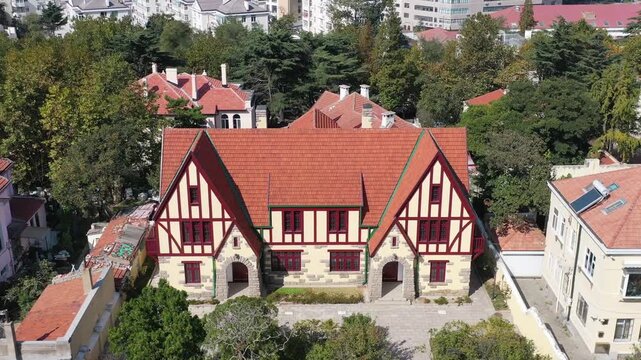 Aerial View of Historic Half Timbered House in Leafy Residential Neighborhood