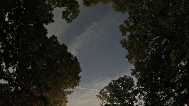 Sky at Night
