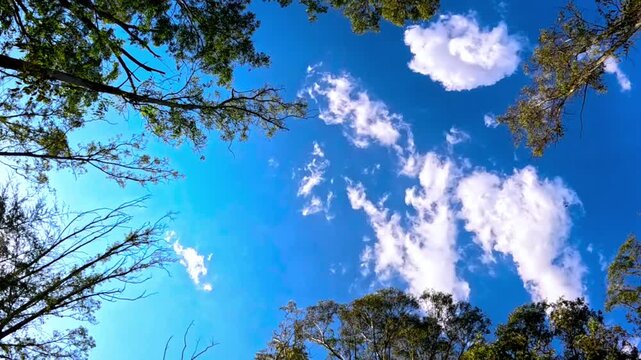 Nubes pasajeras