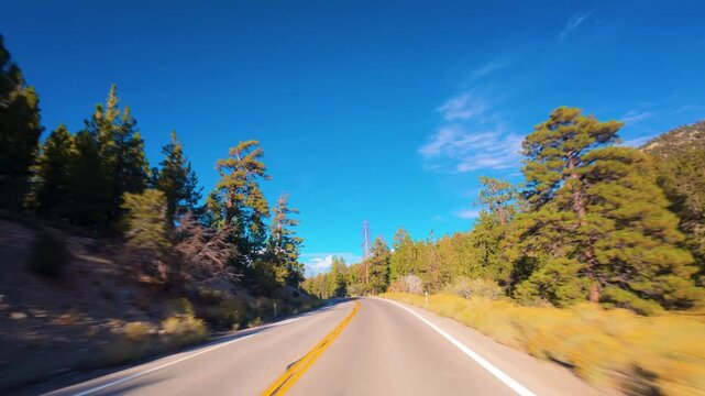 Mount Charleston POV Drive, Nevada, USA