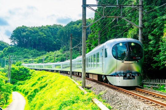 西武秩父線・特急ラビュー