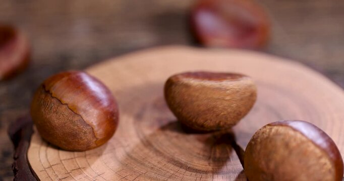 A smooth chestnut on a brown split, one edible chestnut lies on a wooden base with a pronounced ring pattern and a deep crack.