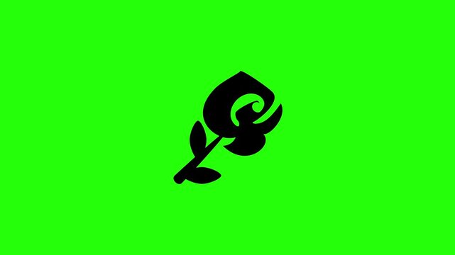 Clean 4K horizontal video showing a single elegant rose flower stem silhouette representing Valentine romance bouncing. High quality presentation asset.