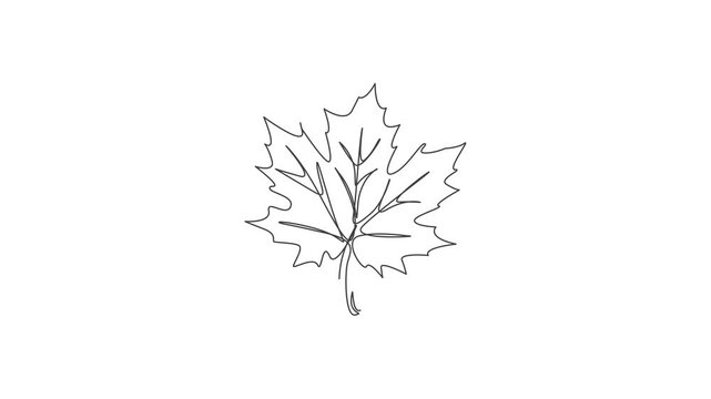 Continuous One Line Art Animation of Falling Autumn Leaves Minimalist Seasonal Nature Concept