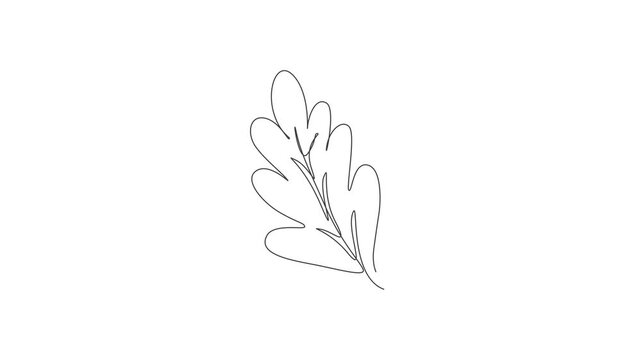 Continuous One Line Art Animation of Falling Autumn Leaves Minimalist Seasonal Nature Concept