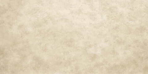 Obraz premium An aged, parchment-like texture, with subtle mottling and a light beige hue, suggests a sense of history and timelessness, suitable for vintage or classic designs.