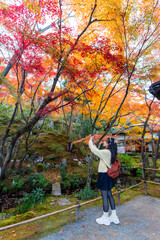 Fototapeta premium Solo female traveler enjoying and taking photos of the peaceful autumn foliage at a Zen temple in Kyoto, Japan