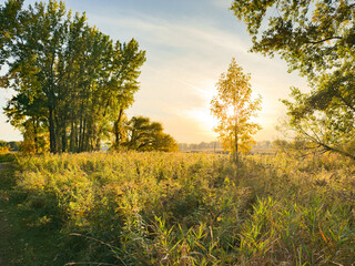 Fototapeta premium Montreal landscape 