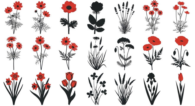 Set of Floral Silhouettes and Red Flower Illustrations for Botanical Design Elements and Spring Garden Decorative Graphics