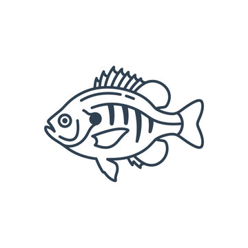 Small round panfish line art icon on white background.