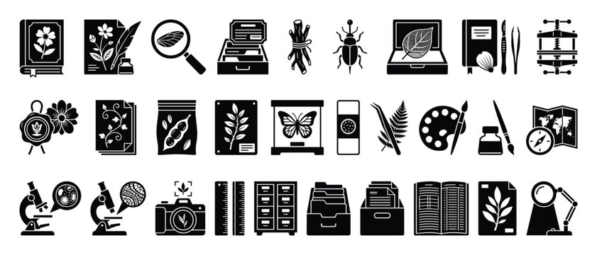 Set of natural history research icons. Botany, entomology, biology, scientific investigation, plant and insect collection, exploration tools, laboratory equipment symbols.