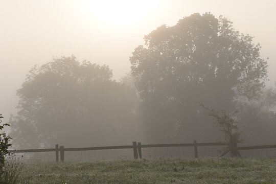 brume en normandie