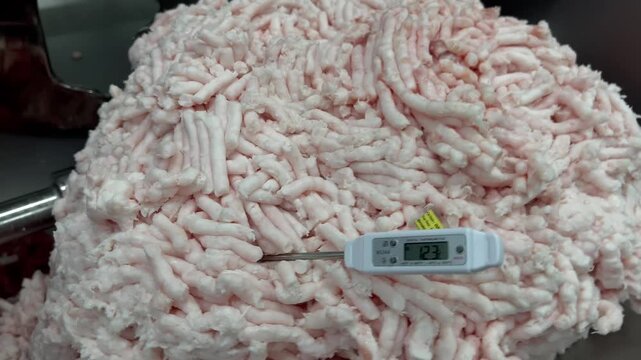 Worker measuring the temperature of raw filling before the mixing process in a food manufacturing facility. Quality control procedure used to verify product temperature, maintain food safety standards