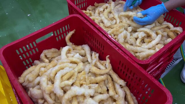 Workers inspecting and sorting fish maw to remove unwanted materials before food production. Quality control procedure supporting food safety, raw material verification, and contamination prevention i
