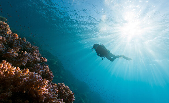 Underwater diver swimming through deep blue ocean with coral reef