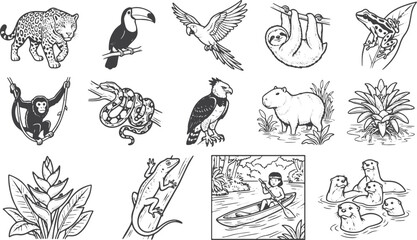 Fototapeta premium Amazon Forest Ecosystem Set