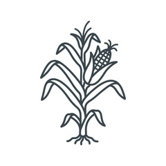 Obraz premium Single corn stalk line art icon with maize ear.