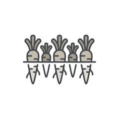 Fototapeta premium Row of radishes growing in garden soil line art