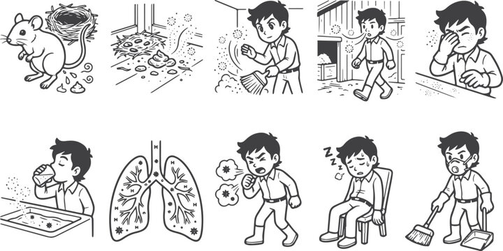How Hanta Virus Spread 2
