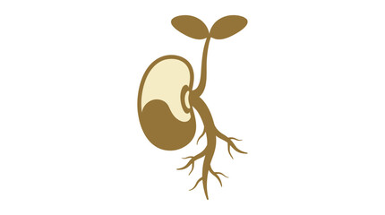 Fototapeta premium Vector illustration of a germinating seed with root system and small leaves
