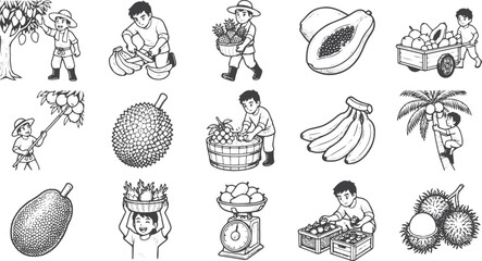 Various Tropical Fruit Harvest © Ferdy