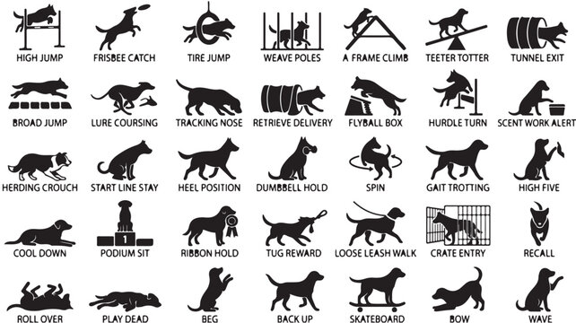 Dog agility and training icons set, 35 black canine sport silhouettes, professional obedience and competition vector elements for pet clubs