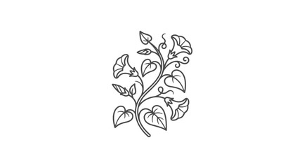 Morning glory vine with trumpet flowers line art © khirul afandi
