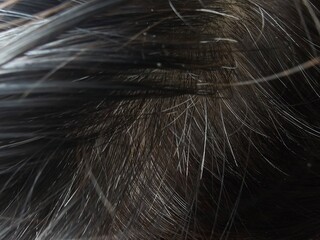 Close view of hair strands showing texture and colors © Nadzeya