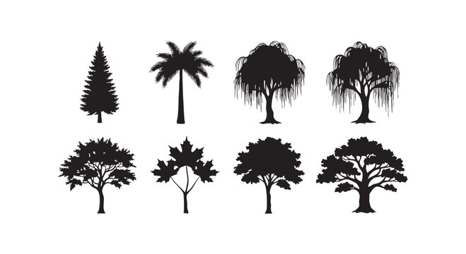 Tree silhouettes vector illustration set showing different types of trees including a pine, palm, willow, maple, and oak.