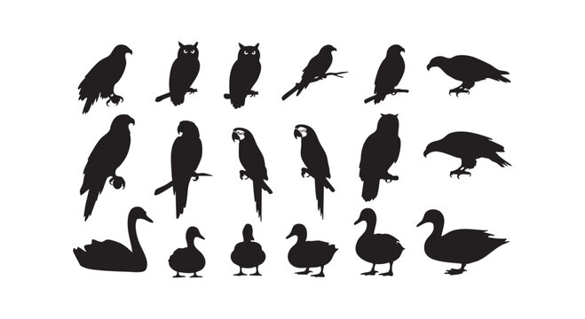 Various bird silhouettes including owls eagles parrots swans and ducks on white background.
