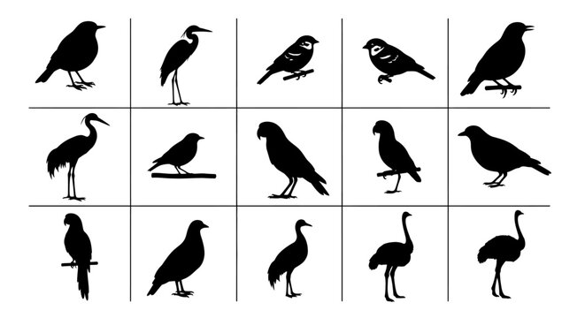 Set of black silhouette bird icons featuring various species including songbirds herons and raptors arranged in a grid with a plain white background suitable for nature wildlife