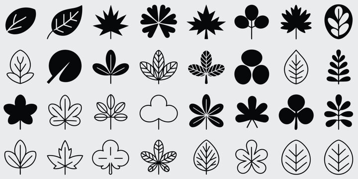 Large collection of minimalist leaf icons featuring solid black silhouettes and linear outline styles isolated on a gray background vector