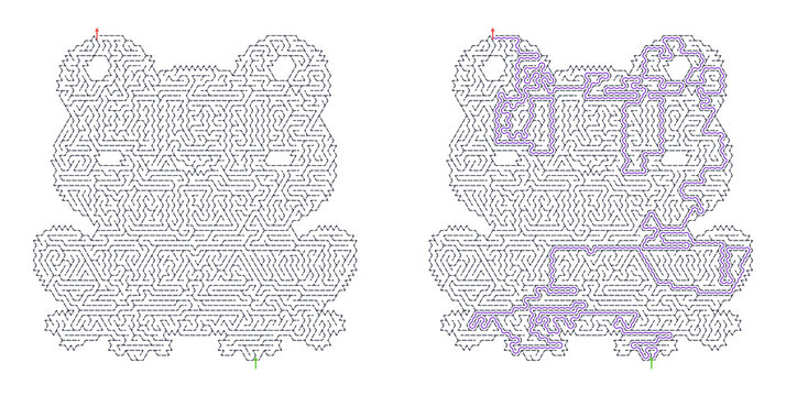 Frog-shaped hexagonal maze puzzle with highlighted solution path