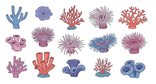 diverse collection of colorful underwater life including various types of sea anemones and coral in shades of blue, pink, and orange.