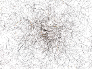 Obraz premium The image features a dense tangle of brown and black scribbles hair On Transparent Background creating a complex abstract composition with varying line thicknesses and textures