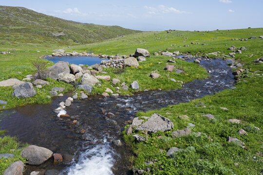 Clear stream flows through grassy landscape with hills and stones, on the way to Amberd fortress and church, Aragazotn province, Armenia