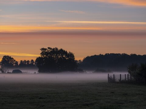 Fog over meadows at dawn on the edge of the village, Schlepzig, Brandenburg, Germany