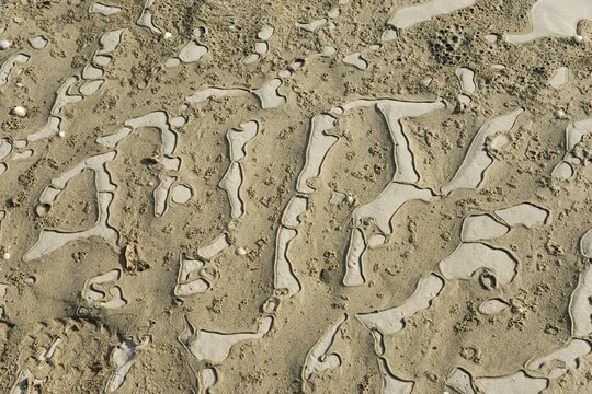 Detailed view of abstract, natural sand patterns on the coast, Plage Saint Efflamm, Plestin-les-Gr&egrave;ves, Breton Plistin, Arrondissement Lannion, C&ocirc;tes-d'Armor, Brittany, France