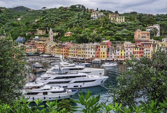 Yachts in the harbour bay, Portofino, Golfo del Tigullio, Riviera di Levante, Liguria, Mediterranean Sea, Mediterranean Coast, Italy