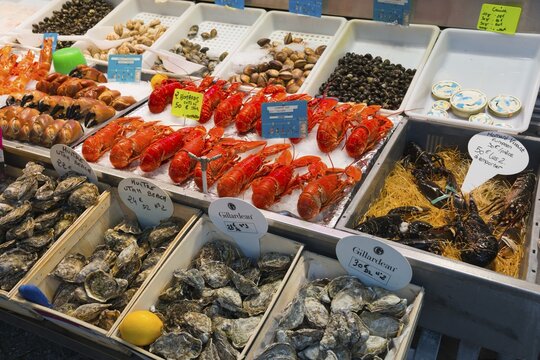 Various seafood such as lobsters and oysters on a market stall, carefully arranged, fish market, Trouville-sur-Mer, Trouville, Normandy, France