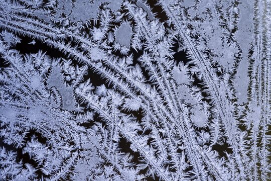Ice flowers on the window
