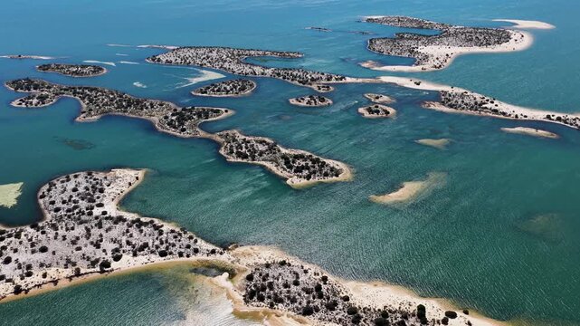 Dunes Of Old Chico At Casa Nova In Bahia Brazil. Sao Francisco River Landscape. Fluvial Islands. Dunes Of Old Chico At Bahia. Winding Dunes. Beach Scenery. Vacations Travel. Brazil Northeast.