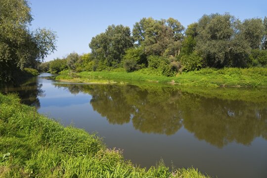 Calm river surrounded by green vegetation and trees reflected in the water, bow River, border with Ukraine, Bereżnica, Bereznica, Dorohusk, Horodło, Horodlo, Hrubieszowski Voivodeship, Lublin Voivodeship, Poland